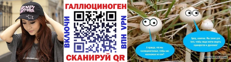 Псилоцибиновые грибы мицелий Купить закладки Верея